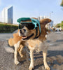 Creative And Versatile Outdoor Sunscreen Pet Accessories Headwear