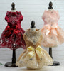 Pet dog cat clothing