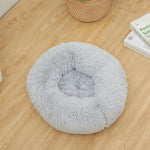 pet room