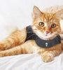 Pet Dog Clothing Cat Vest Summer