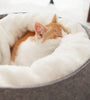 pet bed