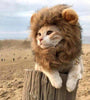 Pet Cat Decor Accessories Lion Wig Fancy Hair Caps Pet Supplies Cute Lion Headgear Cat Hat Mane Wig For Dogs And Cat Small Dog