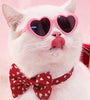 Doll Sunglasses Pet Toy Accessories